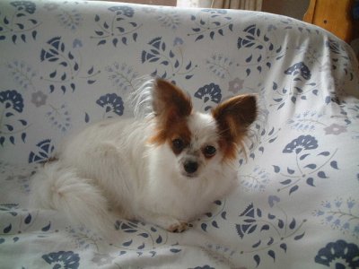 ���[���ł���I